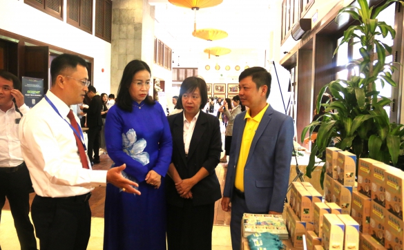 Tổ chức triển lãm về hoạt động KNĐMST