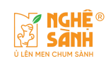 Nghe Sanh - Fermented fresh turmeric with honey