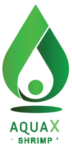 ST SOFTWARE JOIN STOCK COMPANY